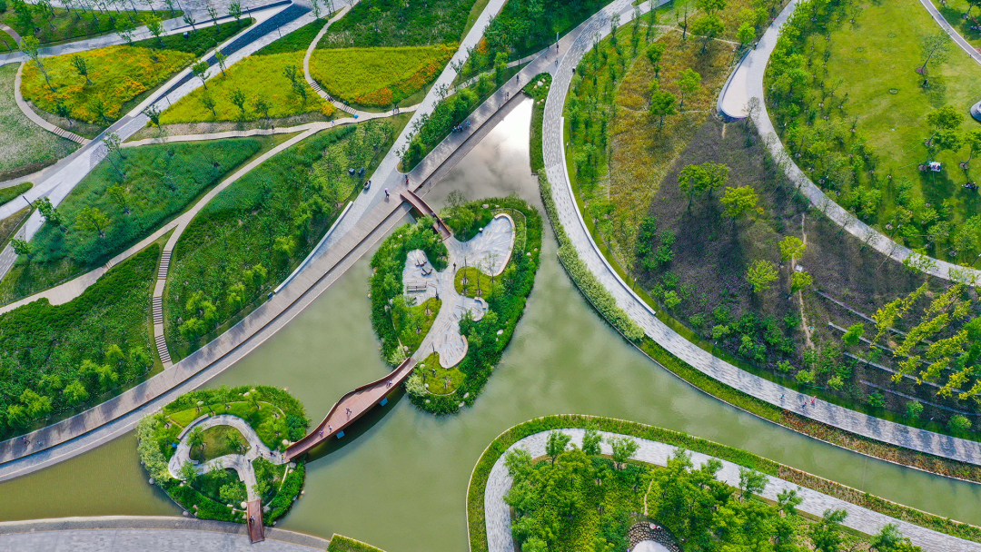 陈云娣-13601920819-《 日新月异桃浦》（桃浦中央绿地花园）---3.jpg