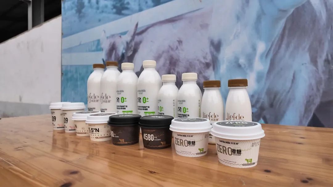 4月3日 (2)-副本(4).jpg