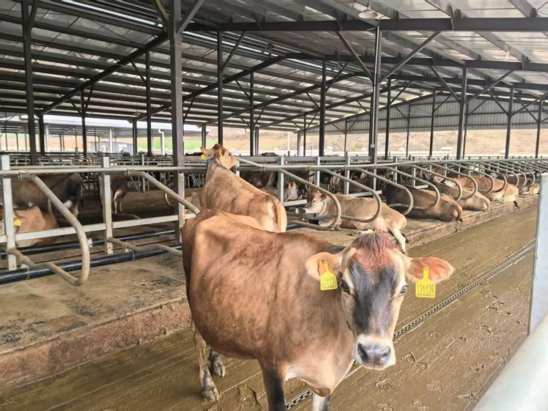 4月3日 (2)-副本(5).jpg