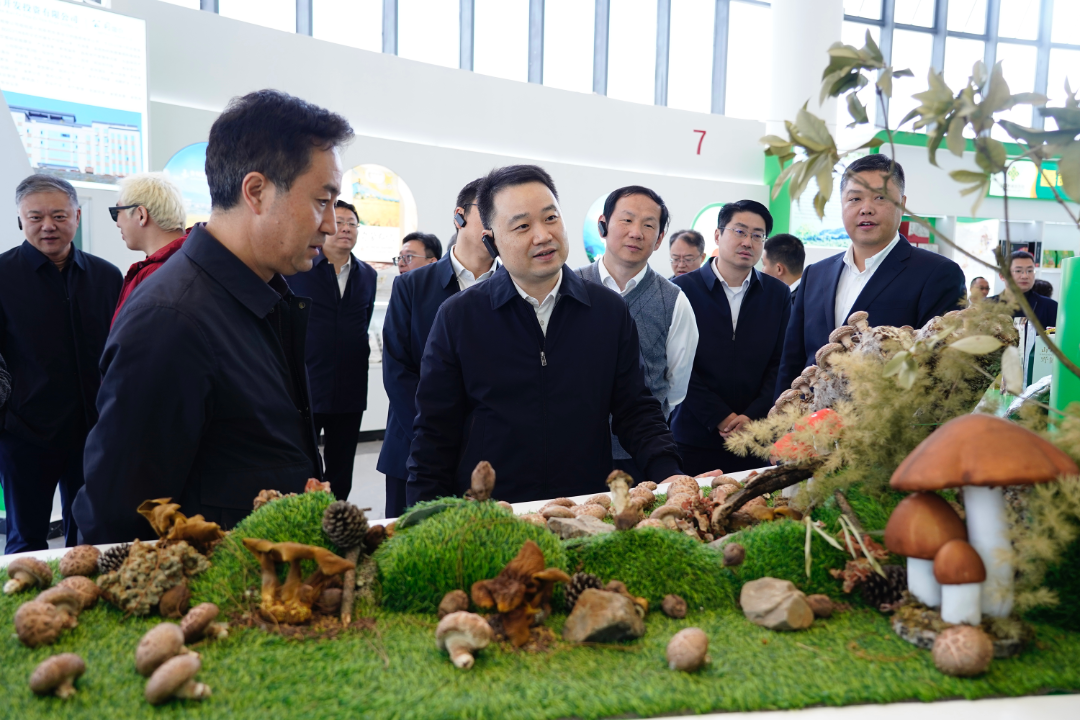 微信图片_20260429225910_420_52.png