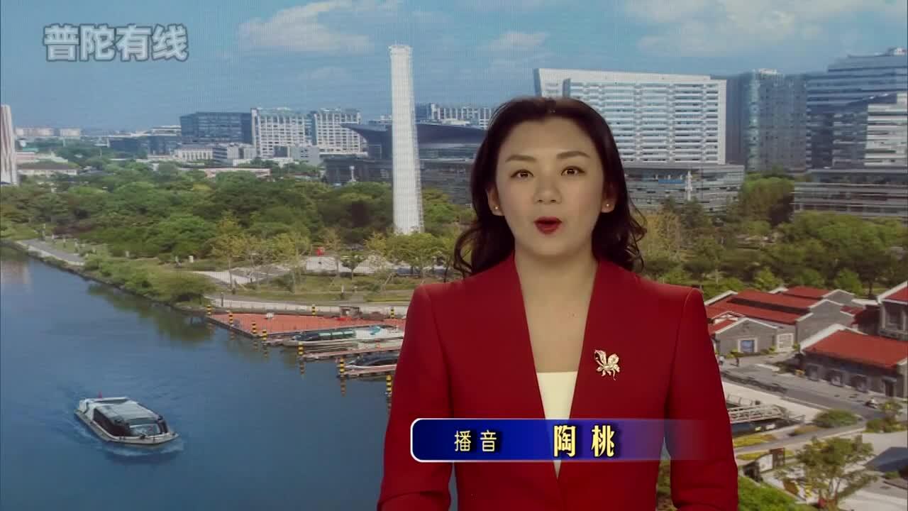 20260223普陀新闻视频