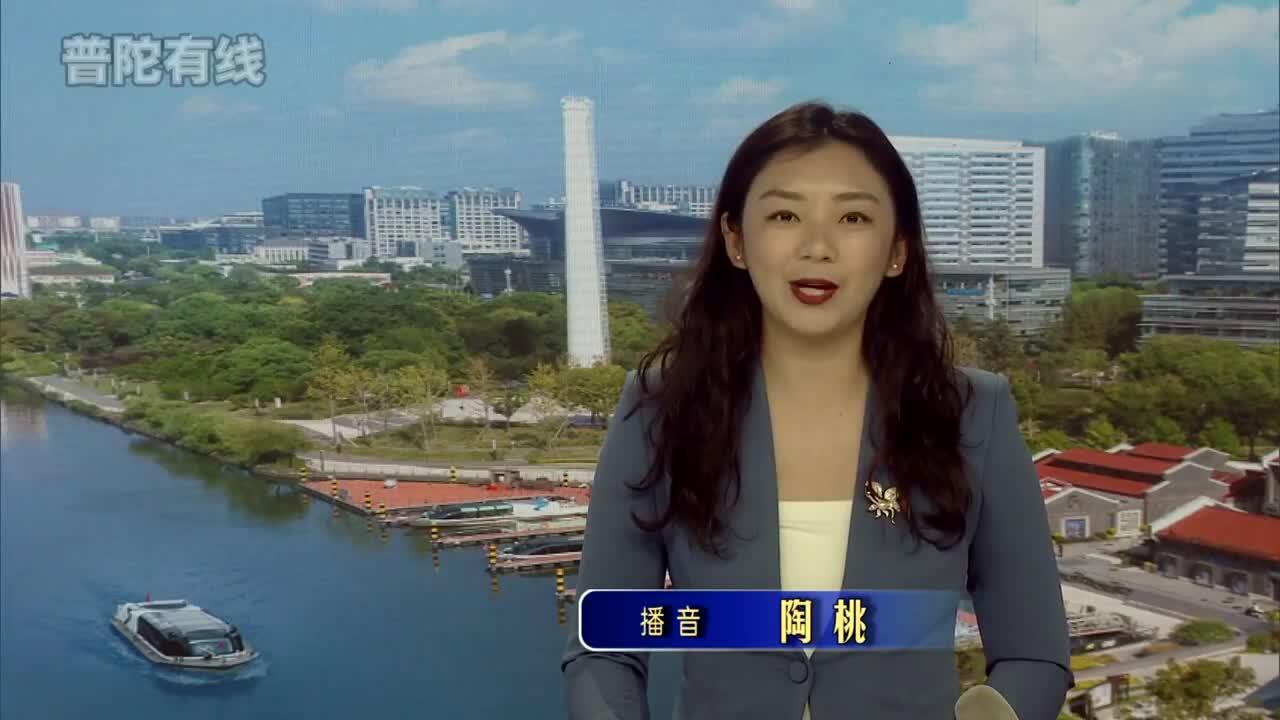 20260426普陀新闻视频