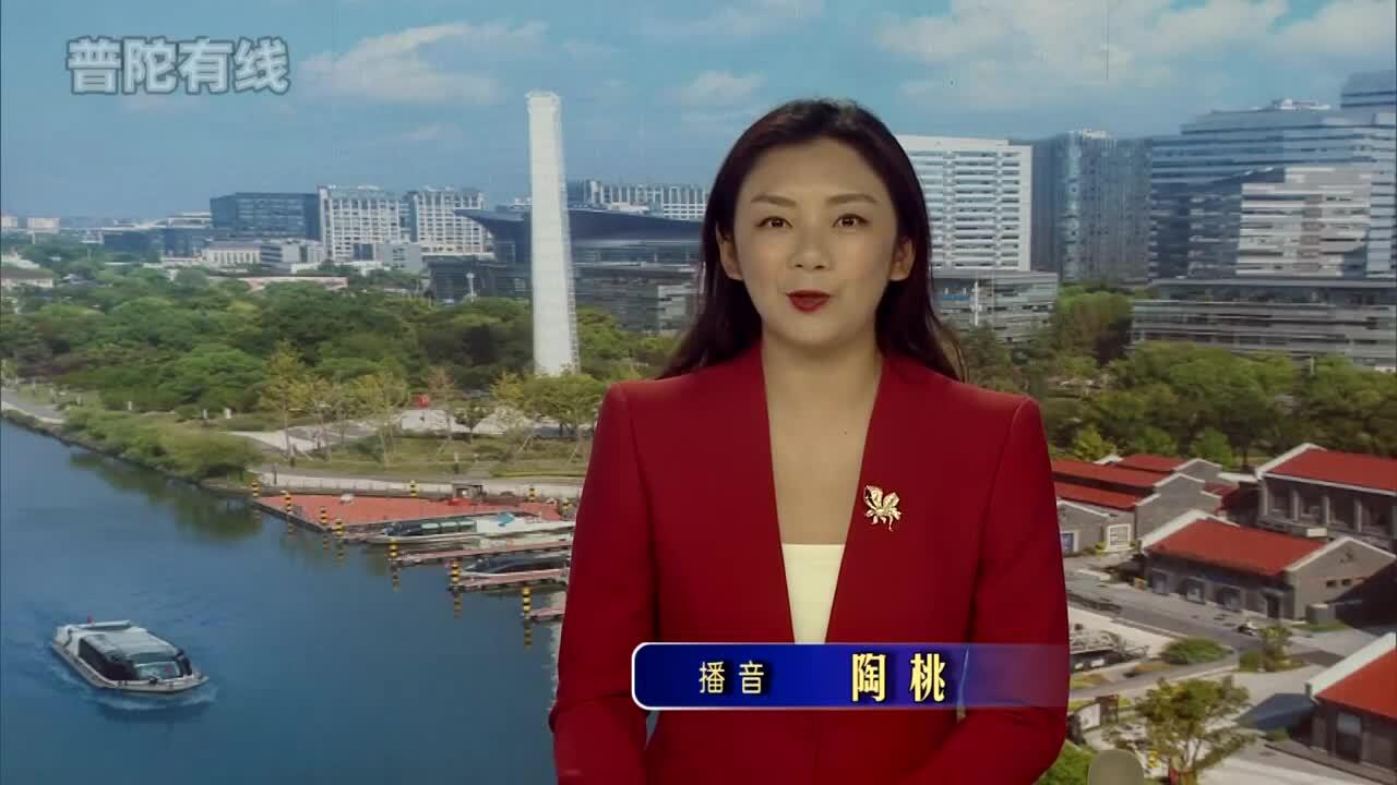 20260602普陀新闻视频
