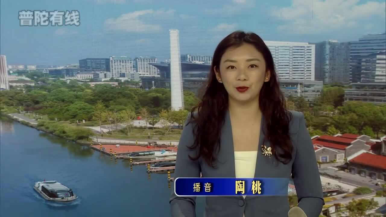 20260424普陀新闻视频