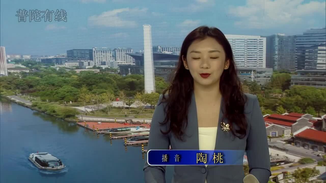 20260425普陀新闻视频