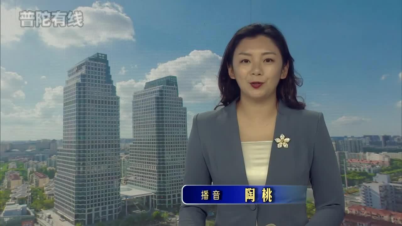 20260726普陀新闻视频