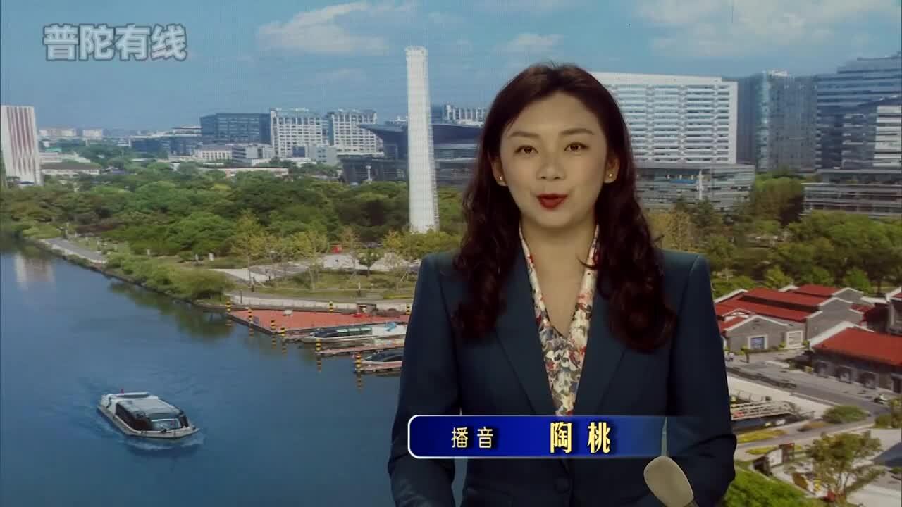 20260417普陀新闻视频