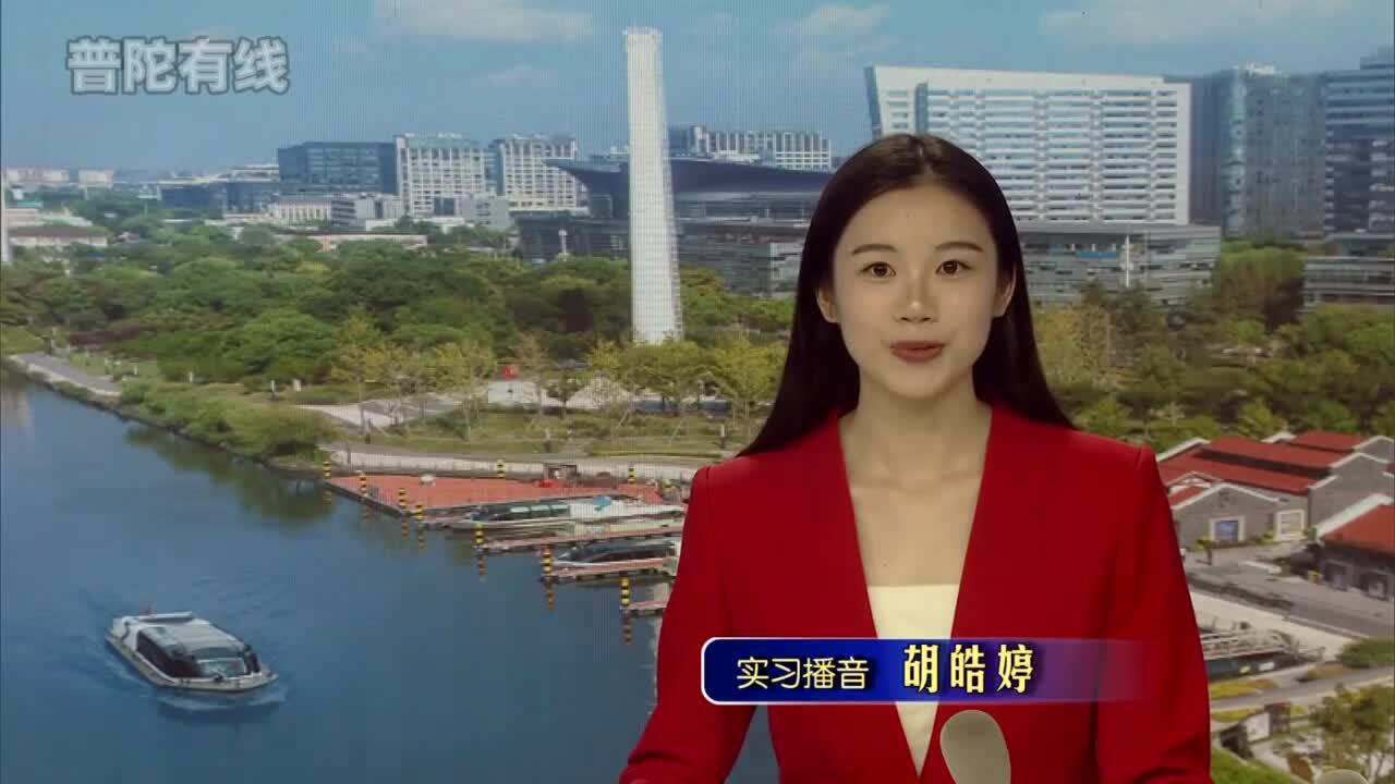 20260604普陀新闻视频