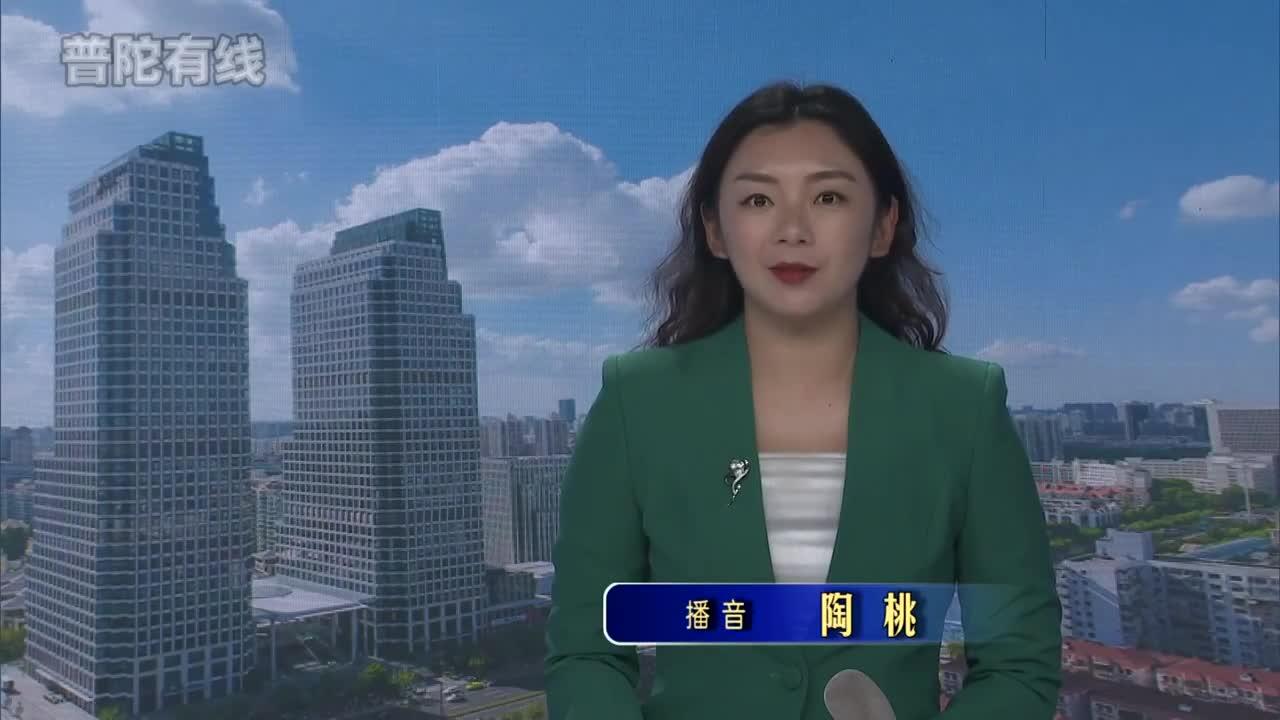 20260810普陀新闻视频