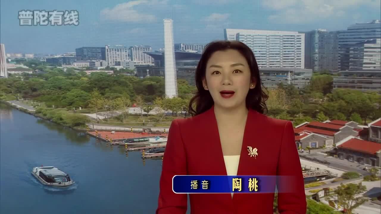 20260224普陀新闻视频