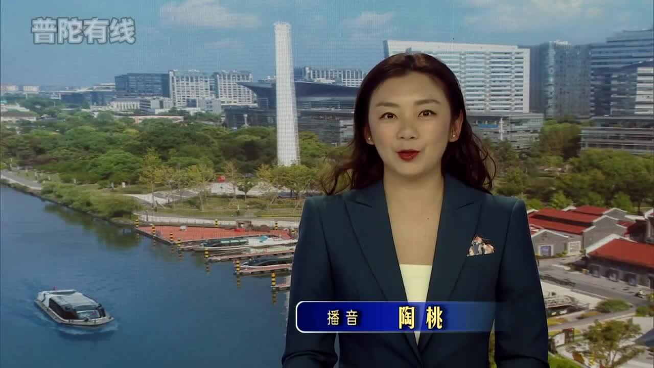 20260225普陀新闻视频