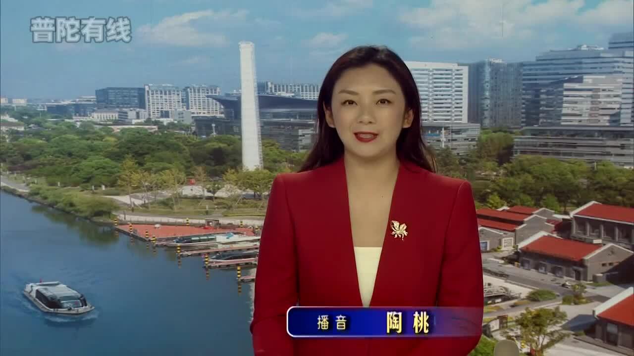 20260601普陀新闻视频