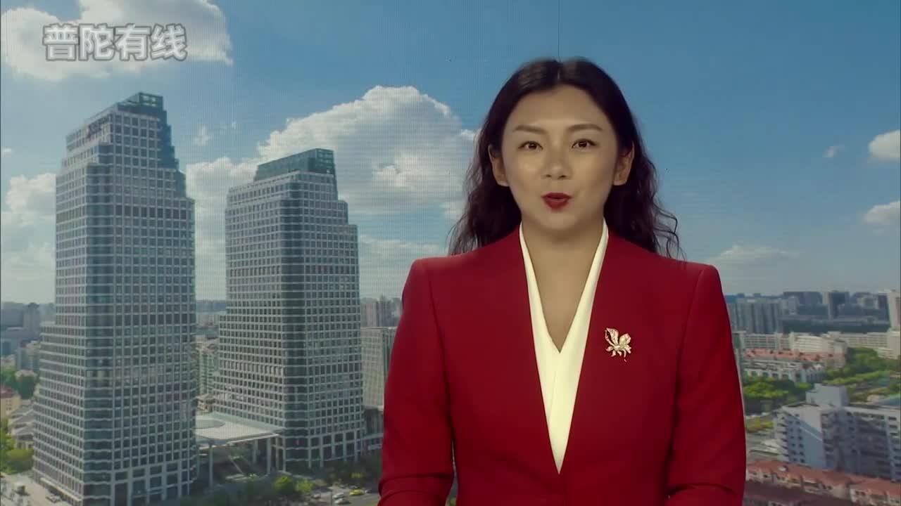 20260805普陀新闻视频