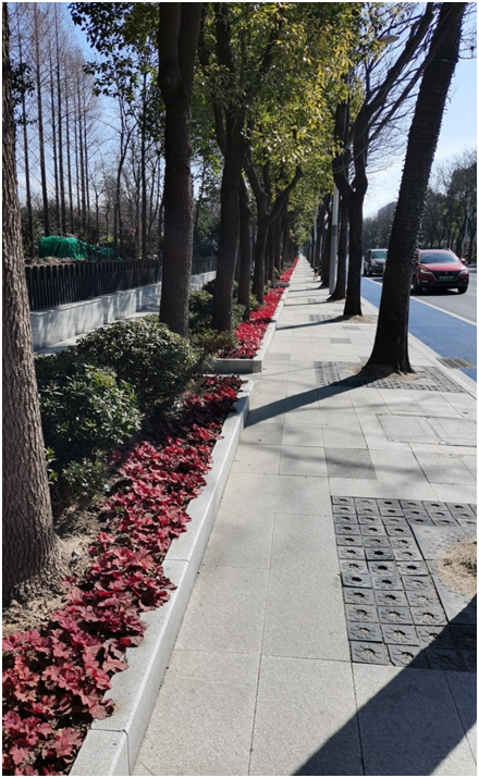 0713_162743_310.png image.png