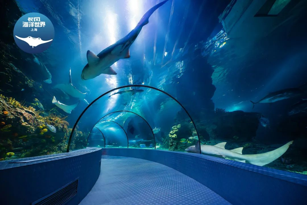 0228_184034_320.jpg 景区1.jpg