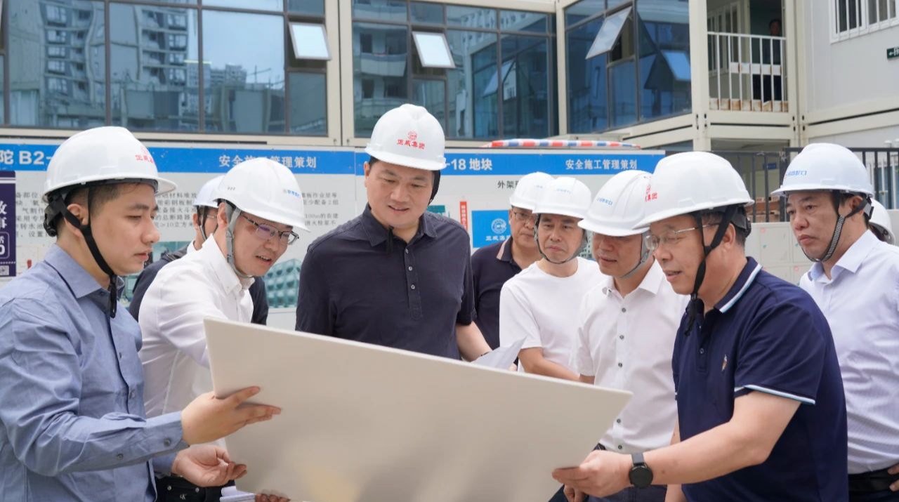 区领导调研督办中央生态环保督察信访交办件整改落实情况