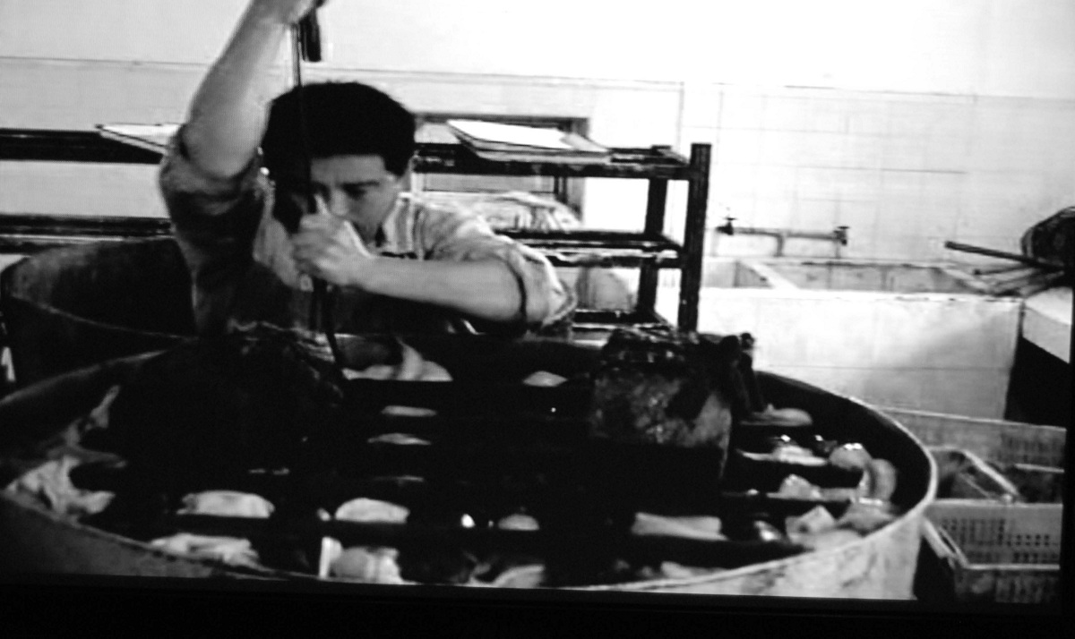 真如羊肉加工现场5 _ 副本.JPG