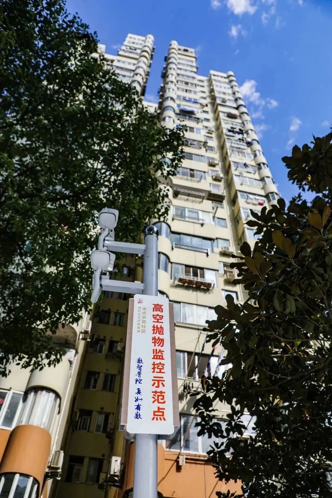 0118_093206_854.jpg 0 (9).jpg