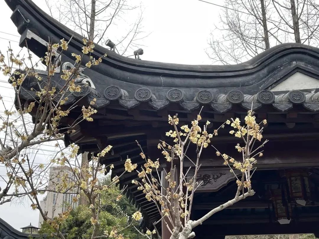 0215_155747_773.jpg 0.jpg