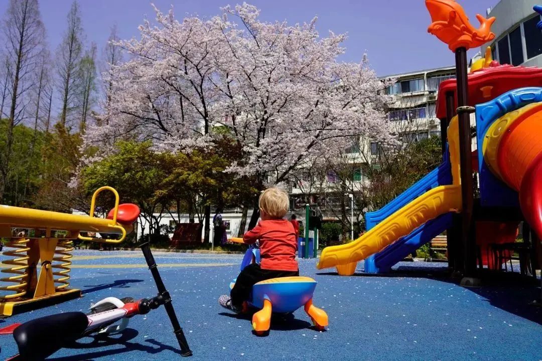 0330_084512_672.jpg 0.jpg