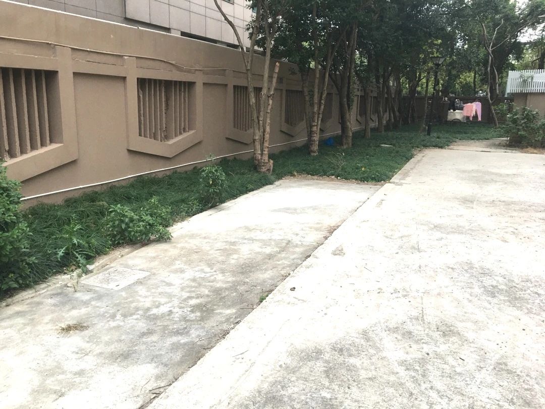 0414_094838_994.jpg 0 (5).jpg