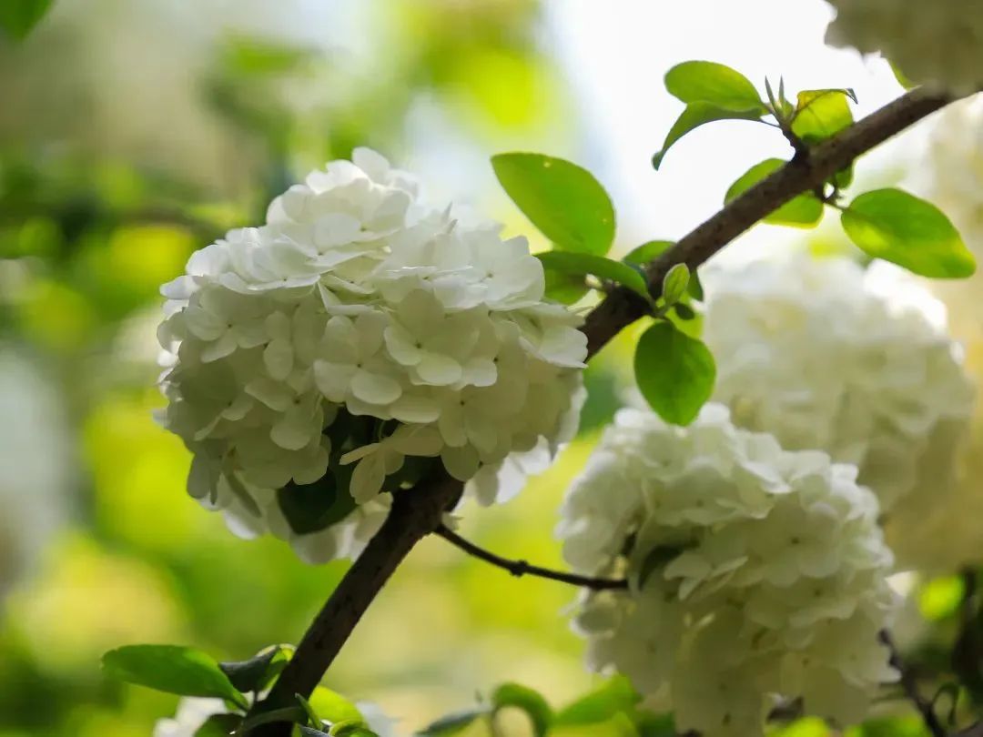 0425_144513_604.jpg 0 (22).jpg