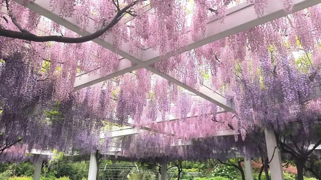 0511_150338_759.jpg 0.jpg