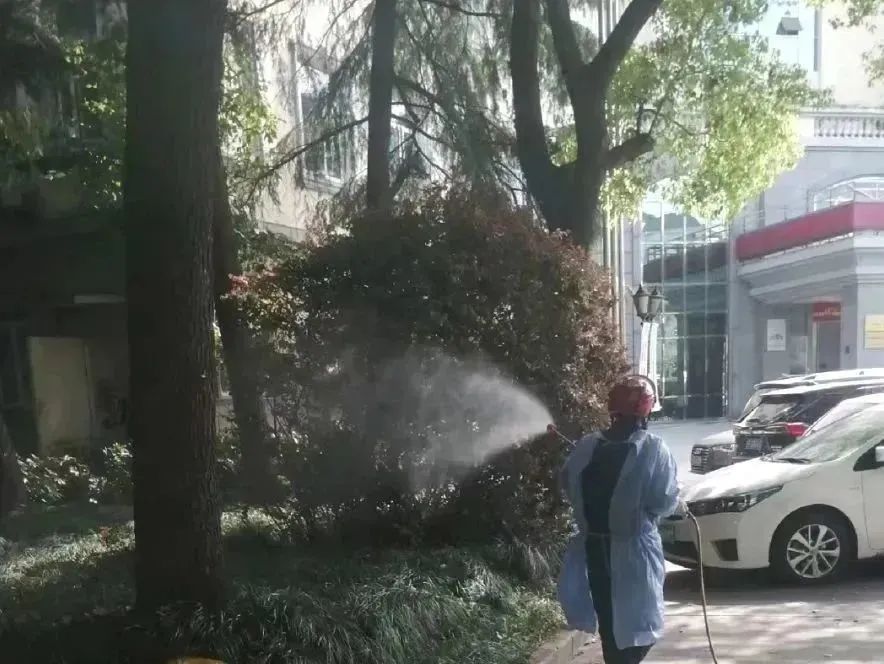 0518_090036_239.jpg 0 (8).jpg