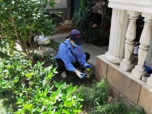 0518_085829_161.jpg 0 (3).jpg