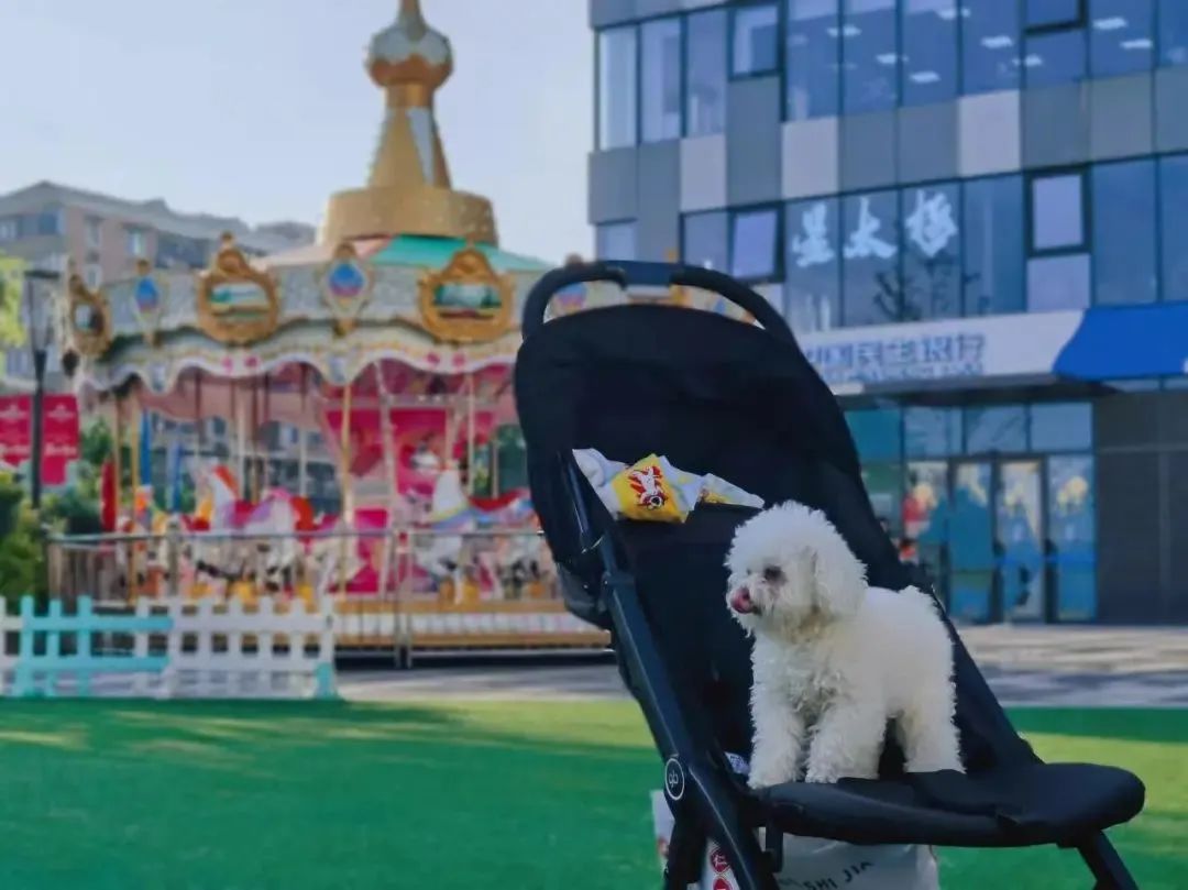 0518_144301_507.jpg 0 (2).jpg