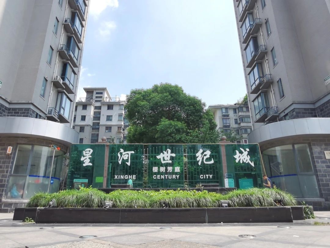 0627_101813_368.jpg 0.jpg