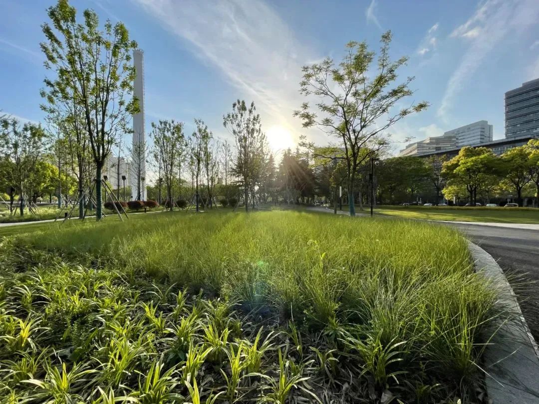 0719_154623_659.jpg 0 (5).jpg