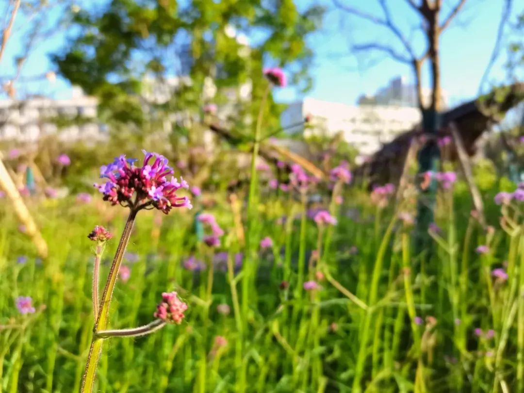 0719_154500_731.jpg 0 (1).jpg