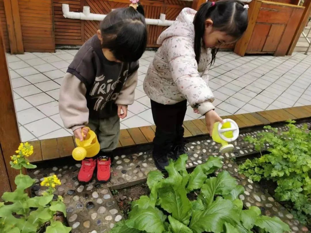 0821_143506_686.jpg 0 (11).jpg