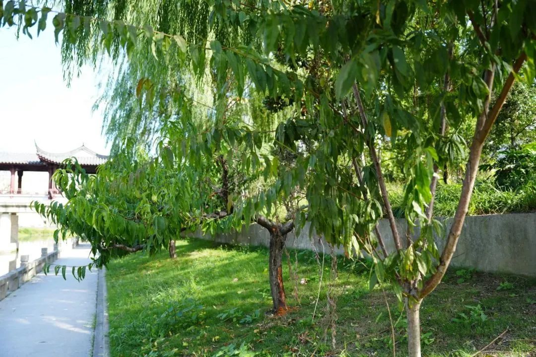 1016_135828_745.jpg 0 (7).jpg