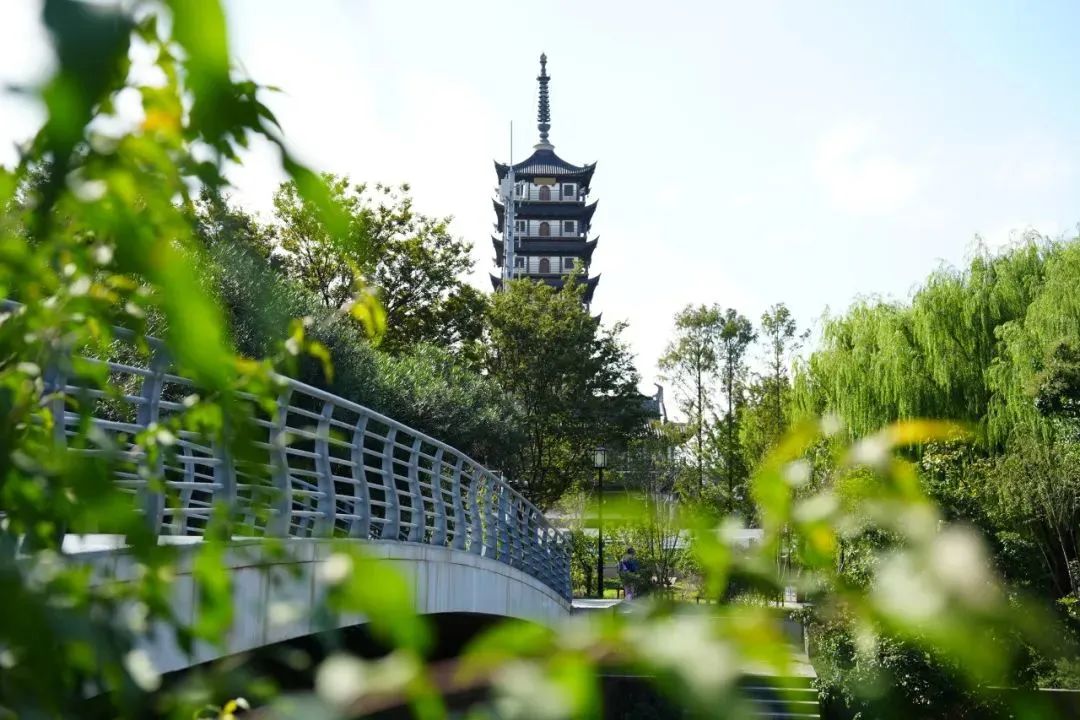 1016_135907_678.jpg 0 (5).jpg