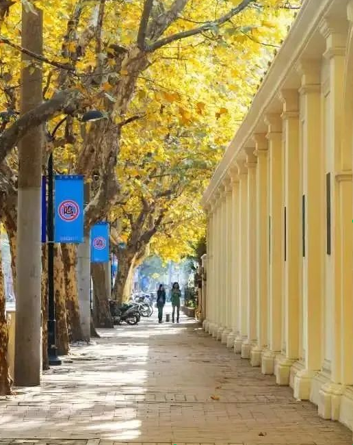 1026_133932_668.png 103858_1698301982_hd.png