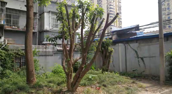 1030_134600_388.png 104459_1698647937_hd.png