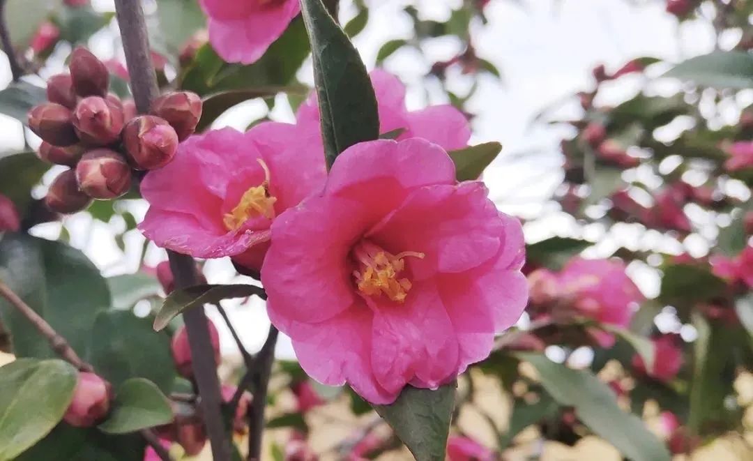 1211_095405_695.jpg 0 (2).jpg