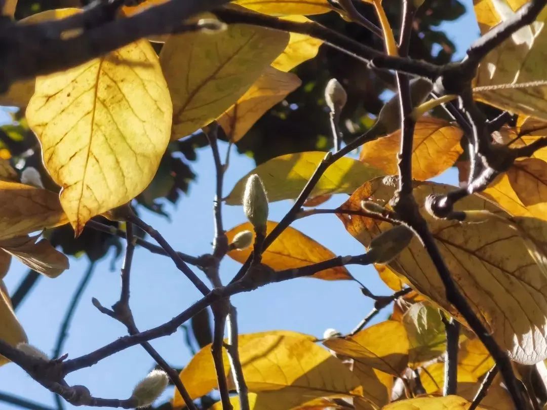 1211_095515_759.jpg 0 (1).jpg