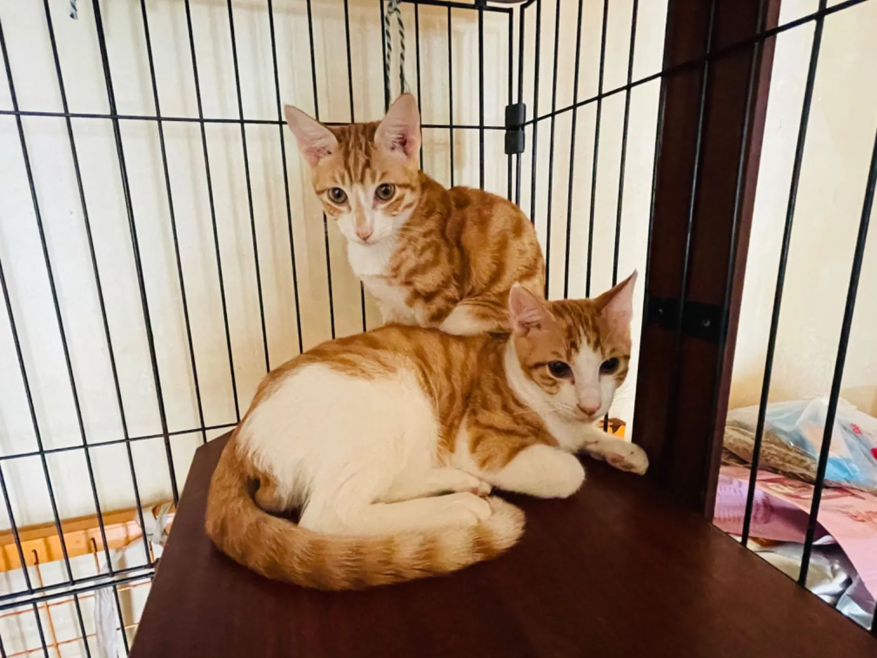 0117_092731_689.jpg 0 (4).jpg