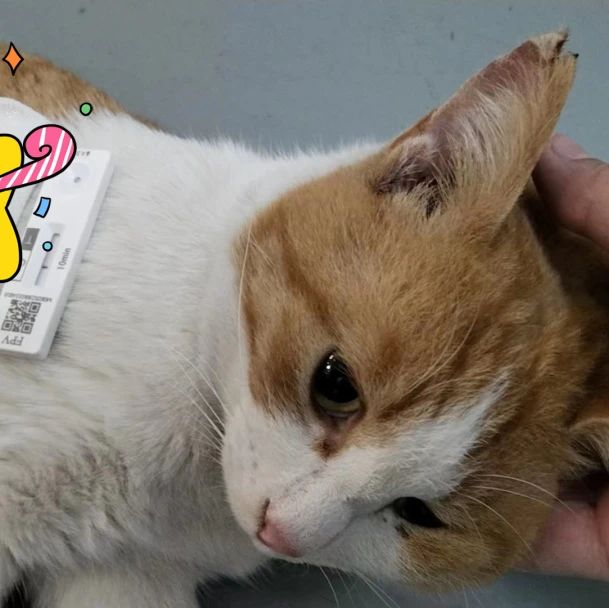 0117_092808_800.jpg 0 (1).jpg