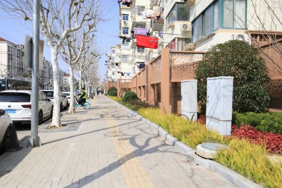 【美好真如】这个街区颜值，你发现了吗