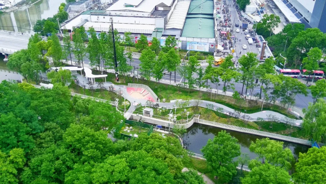 清晨漫步半马苏河，这份安宁祥和从何而来？答案就在普陀的“绣花”功夫里