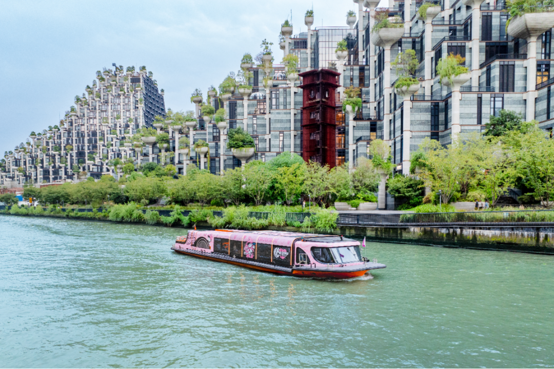 三天客流增长25%，苏州河游船开311班！这个春节，普陀这个街区凭什么这么火？