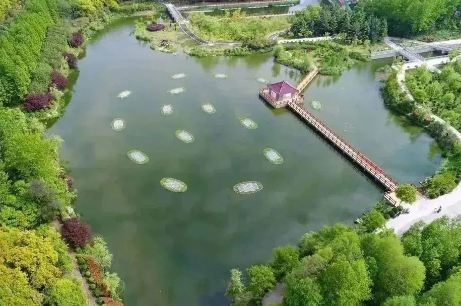 1020_074542_488.jpg 1020_074542_488.jpg