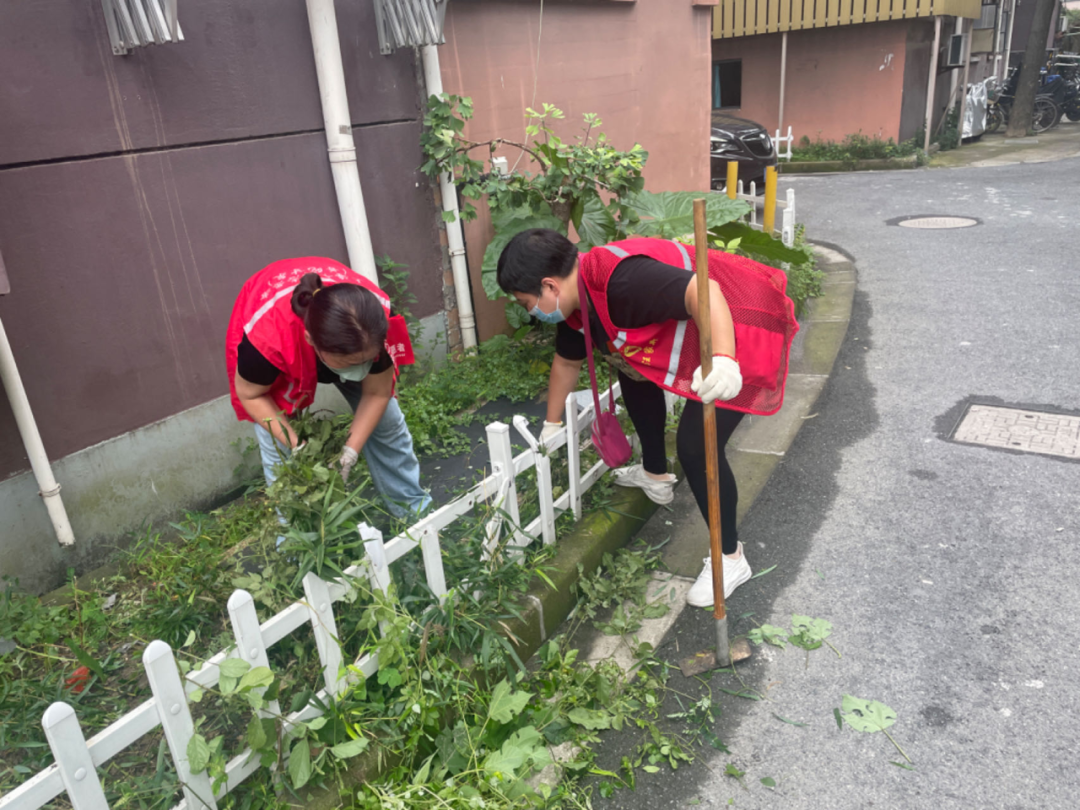 1108_085427_671.png 1108_085427_671.png