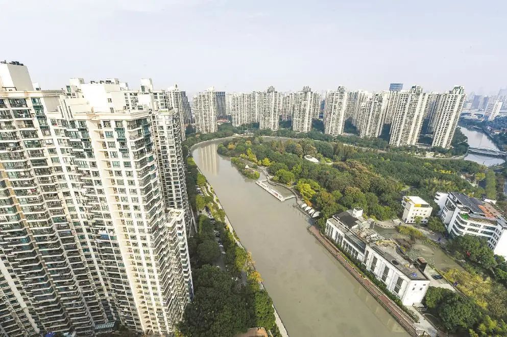 1116_135335_256.jpg 1116_135335_256.jpg