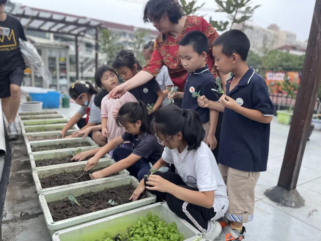 1116_140132_506.jpg 1116_140132_506.jpg