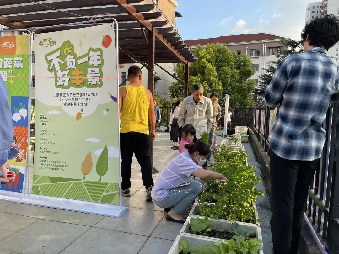 1116_140309_450.jpg 1116_140309_450.jpg